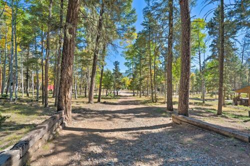 Angel Fire A-frame Less Than 4 Miles To Ski Resort!