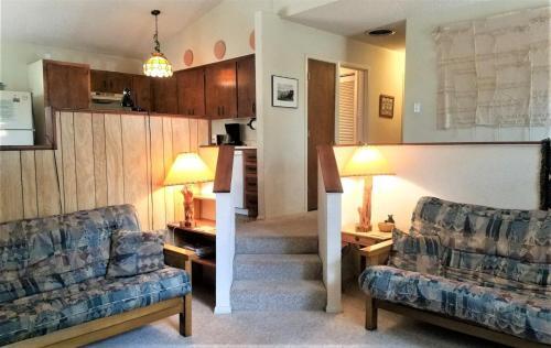 Forest View Cabin