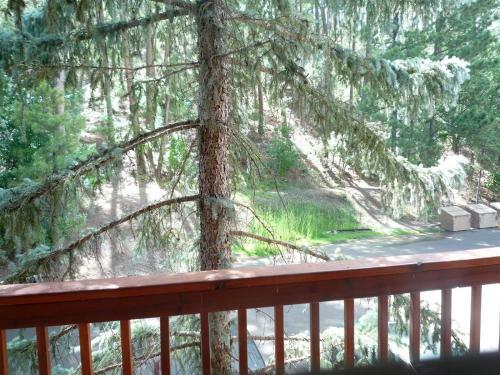 Apartamento Baby Bear Condo #230