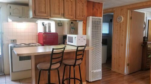 Honey Bear Cabin