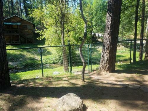 River Place Cabin