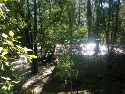 River Place Cabin
