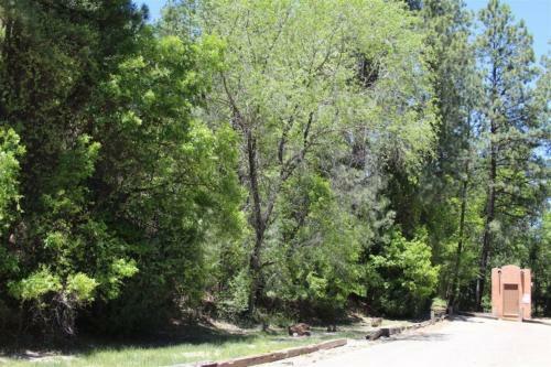 Apartamento Canyon Creek Condo 111