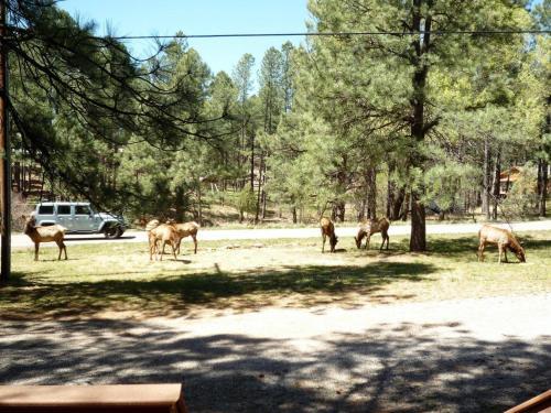 Timberline - Cozy Cabins Llc