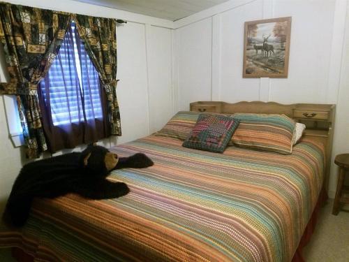 River Bear Cabin
