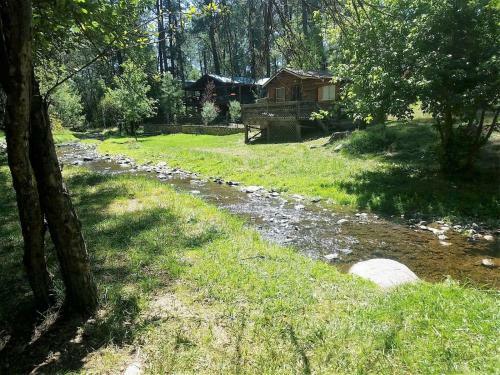 River Bear Cabin