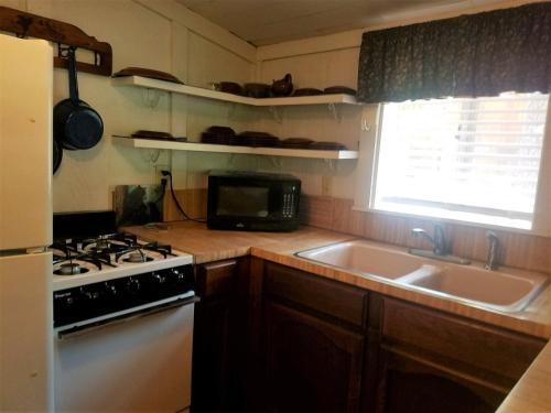 River Bear Cabin