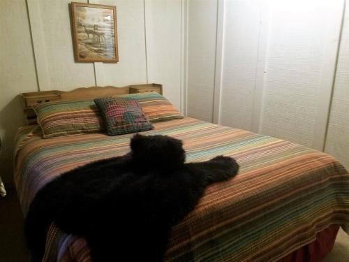 River Bear Cabin