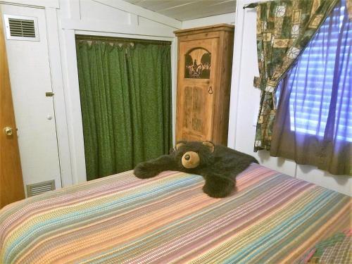 River Bear Cabin