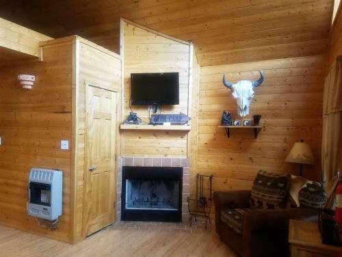High Mountain Cabin