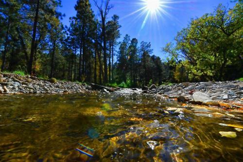 Rivers Edge Cabin - Cozy Cabins Llc
