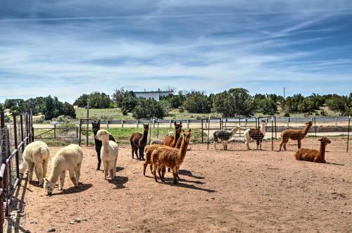Chic Santa Fe Home At Dream Catcher Retreat Center
