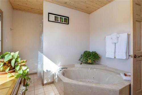 South Side Sanctuary, 3 Bedrooms, Pets, Fire Pit, Sleeps 6