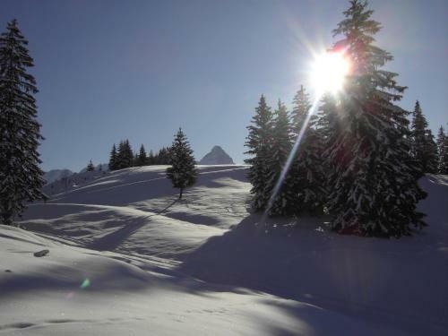 Apartamento Haus Nordtirol