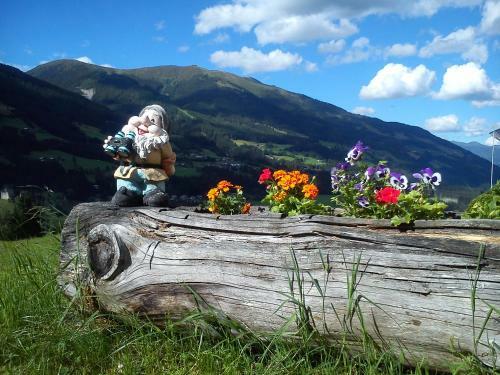 Agroturismo Bauernhof Oberscheffau