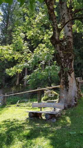 Agroturismo Bauernhof Oberscheffau