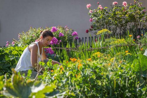 Dorfhotel Mayer