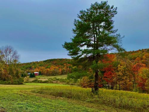 Tentrr Signature - Fenimore Slope