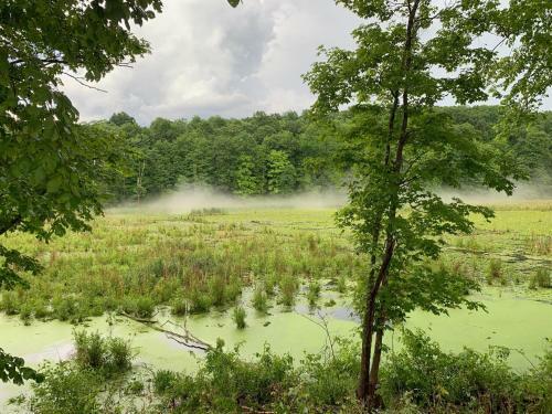 Tentrr Signature - Rifton Farm And Forest