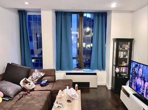 Luxury Large Apartment In Manhattan