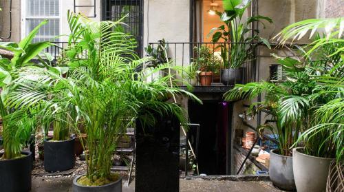 Apartamento Plum Guide - Inner Sanctuary