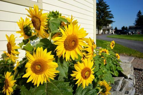 Hotel Skaneateles Suites