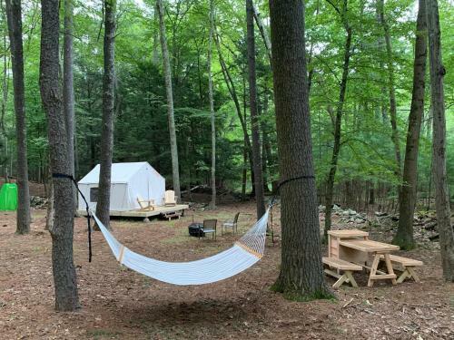 Tentrr Signature Site - Highwoods Two