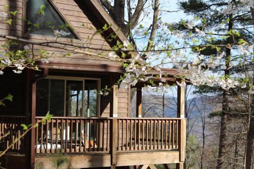 Asheville Town Cabin Cabin