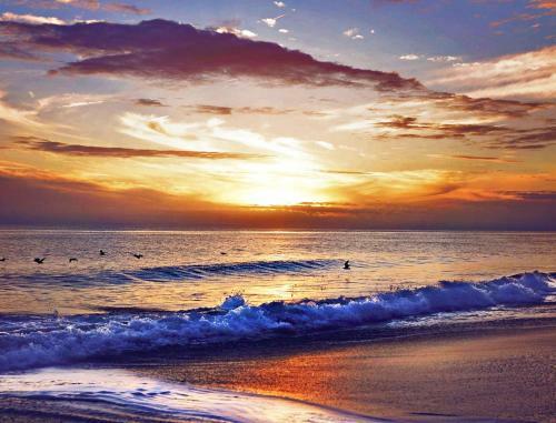 Beautiful Crystal Coast Apartments On Atlantic Beach