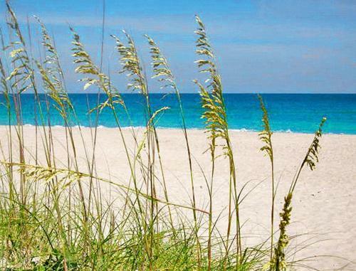 Beautiful Crystal Coast Apartments On Atlantic Beach