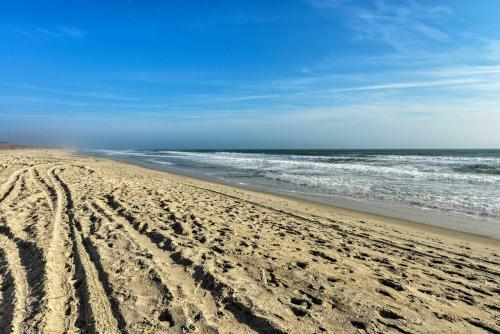 The Tipsy Flamingo Steps To Atlantic Beach!