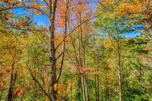 Back Beech Retreat