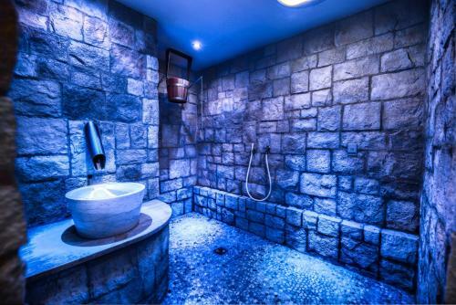 Superior Hotel Brigitte