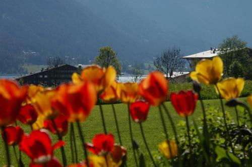 All Suite Hotel Garni Leithner