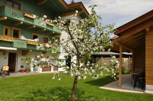 Ferienhaus Hofwimmer