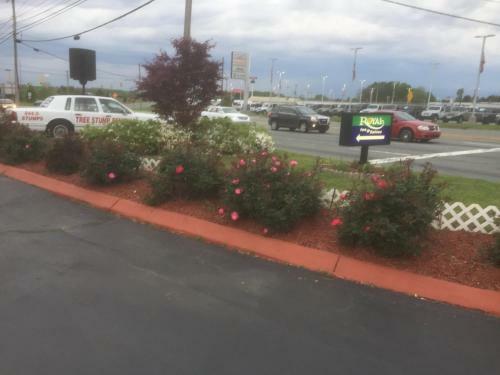 Hotel Royalinn & Suites