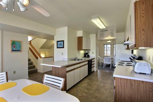 Yellowfin & Zebrafish