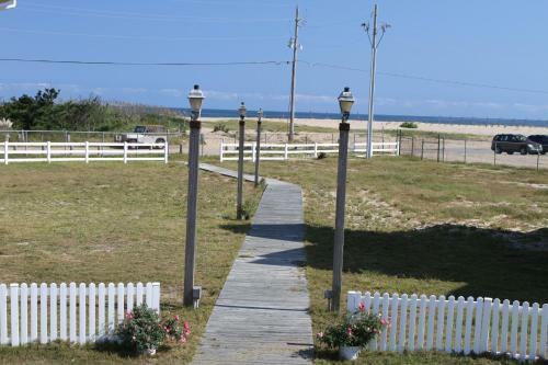 Yellowfin & Zebrafish