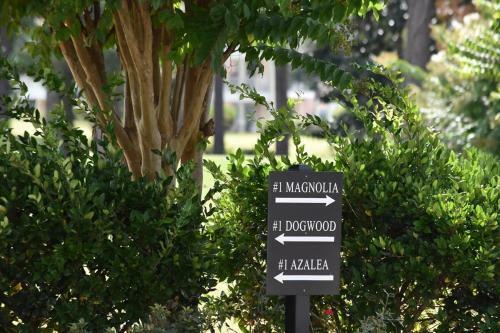 Apartamento 502m Condo