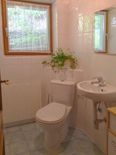 Apartment Weinberg