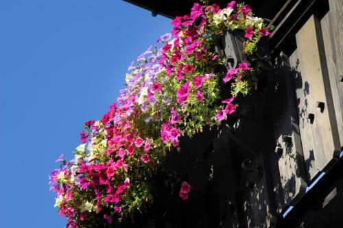 Hotel R�sslwirt