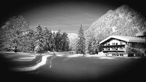 Hostal Bergheim