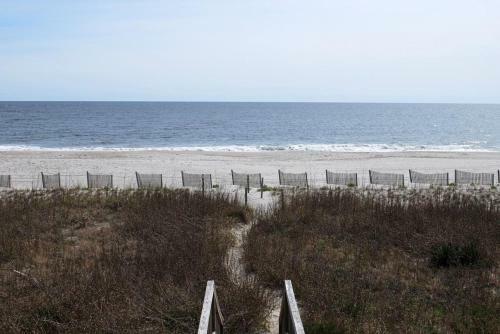 Breezy Shores