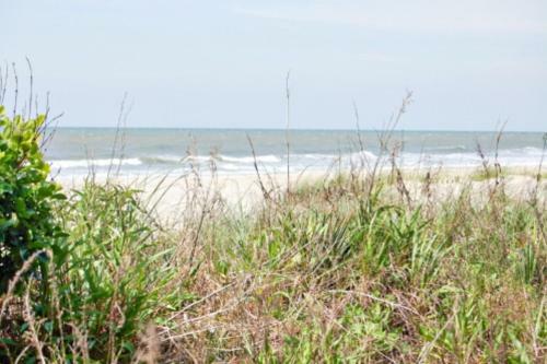 Sea Winds