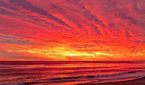 Sunset Joy