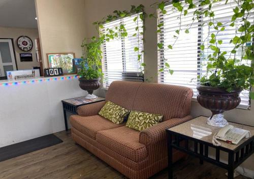 Hotel Nation's Inn Kinston