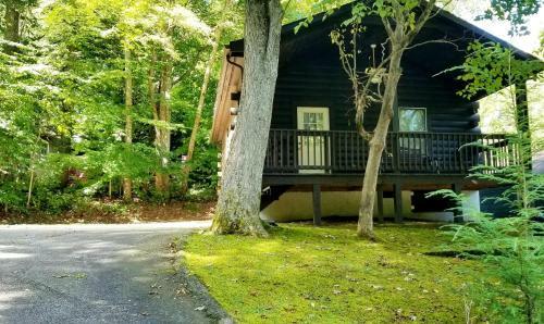 Tanglewood Motel And Log Cabins