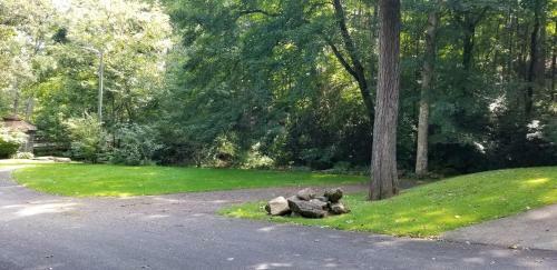 Tanglewood Motel And Log Cabins