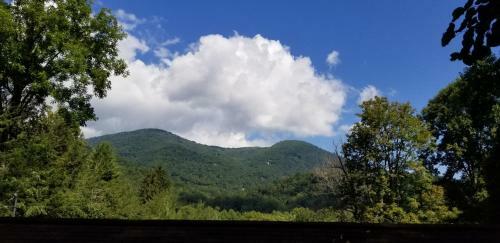 Tanglewood Motel And Log Cabins