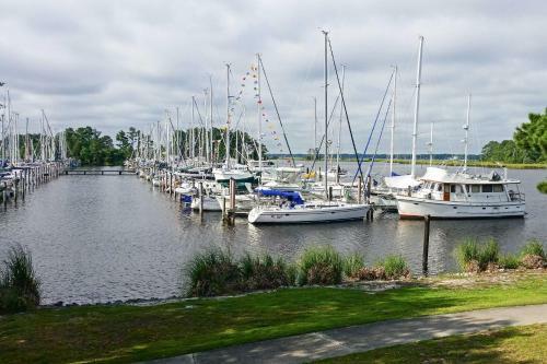 Apartamento New Bern Condo On Marina With Community Pool And More!